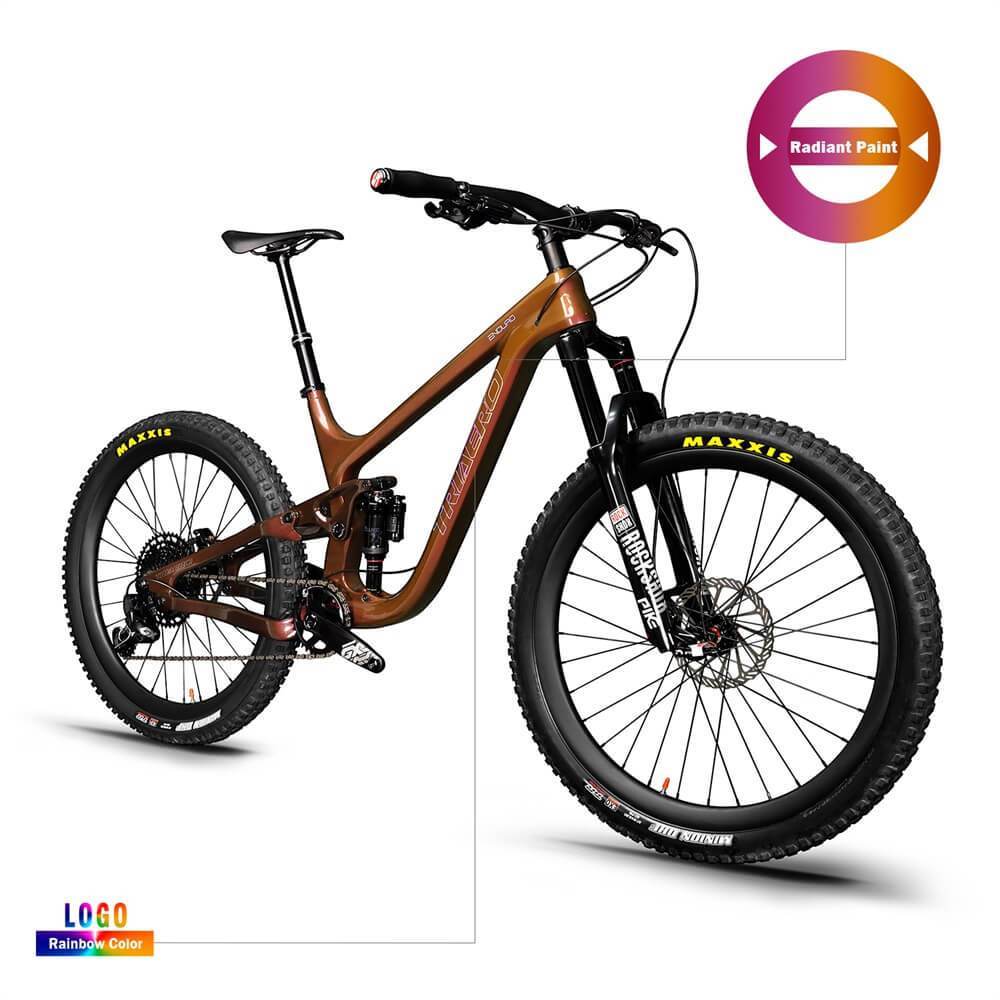 Enduro Bike P9 - Triaero