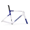 A9 Painted Frame - Triaero