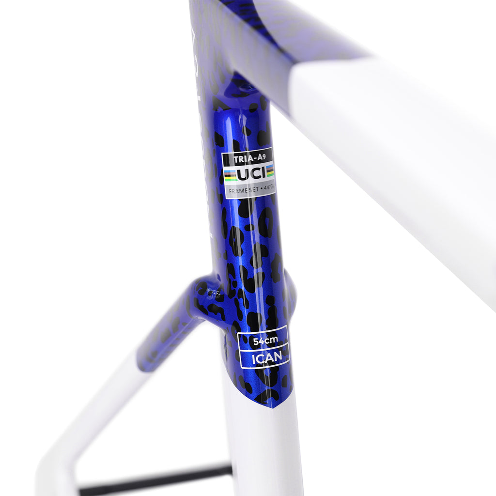 Disc Frame Carbon Road Bike Frame A9 Disc Brake BB86 12x100/12x142mm Triaero