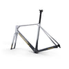 ICAN UCI ROAD BIKE DISC FRAME FLYEE