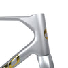 ICAN UCI ROAD BIKE DISC FRAME FLYEE