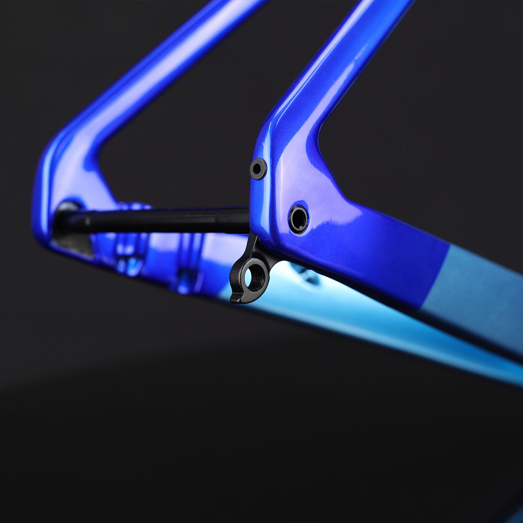 Disk Frame Carbon Road Bike Frame A9 Disc Brake BB86 12x100/12x142mm Triaero