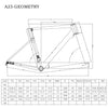 Road Bike Disc Frame A23 - Triaero