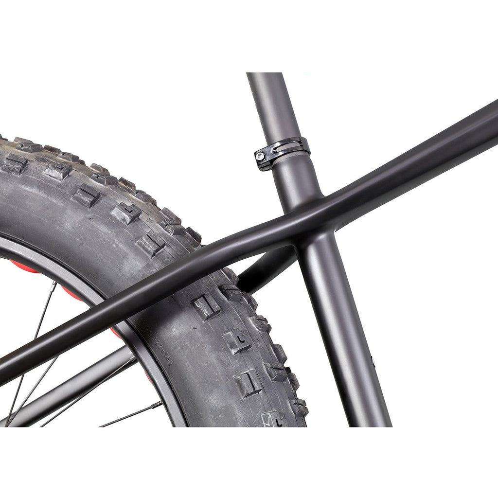 26er Carbon Hardtail Fat Bike SN02 - Triaero