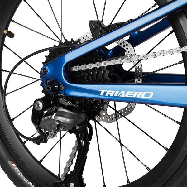 Folding Bike Lizard - Triaero