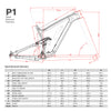 Trail MTB Frame P1 US——Color Turquoise - Triaero